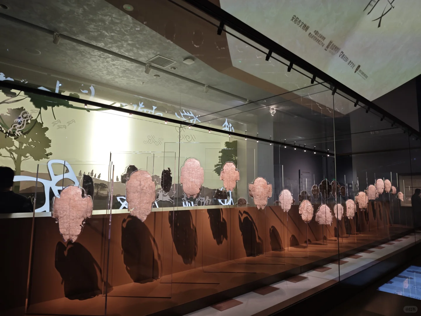 一些A市旅游的碎碎念