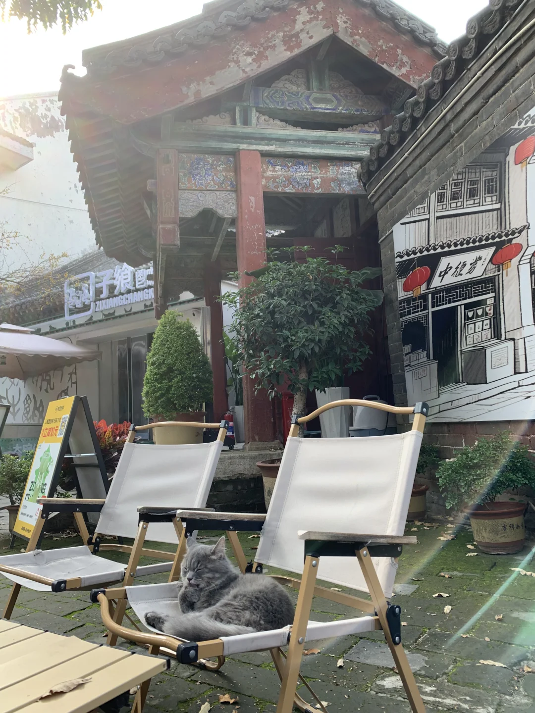 安阳 city walk (一)