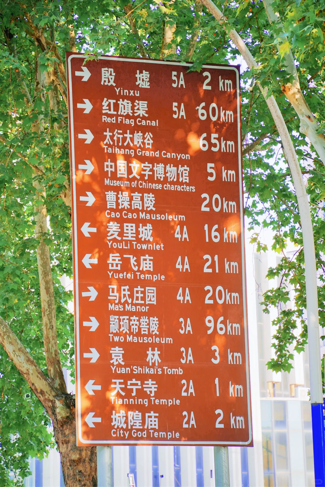 五一！安阳！两天！怒走 5 万步！！！