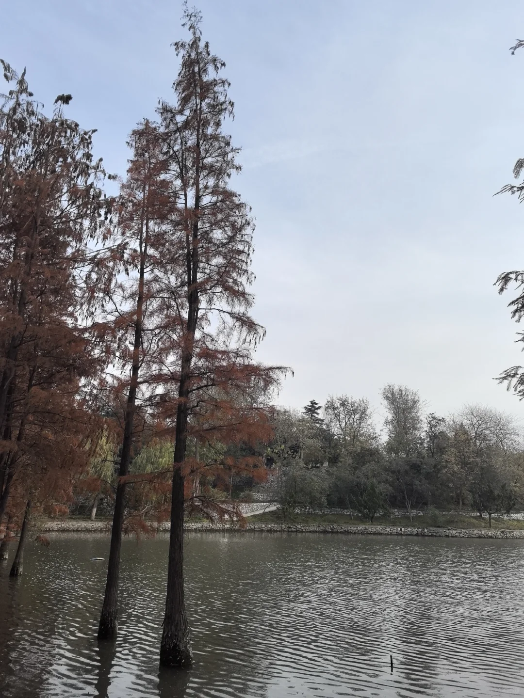 洹园独美 | 安阳有自己的江南