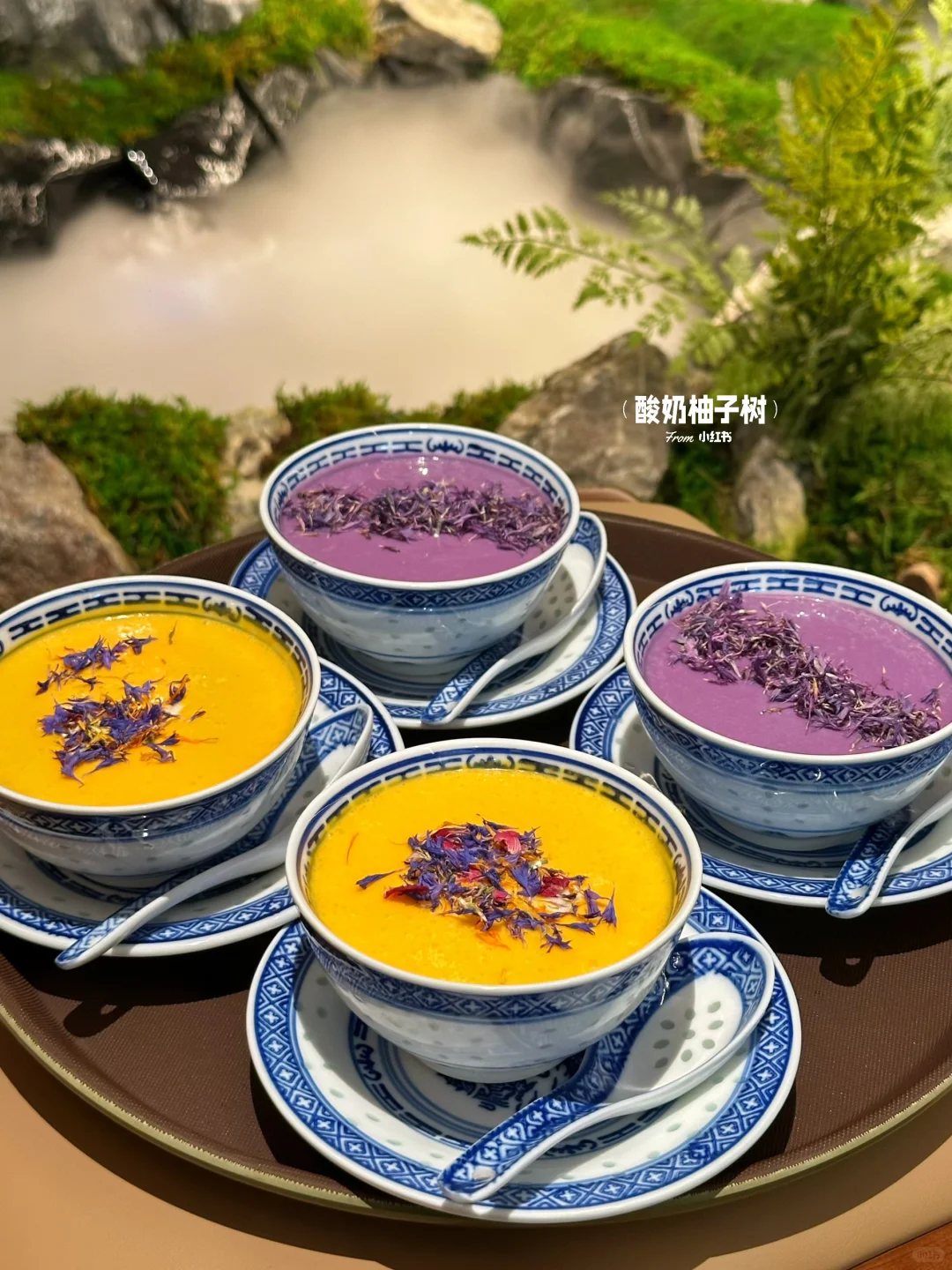 开了！！预计是安阳下一个排队王🥹🥹