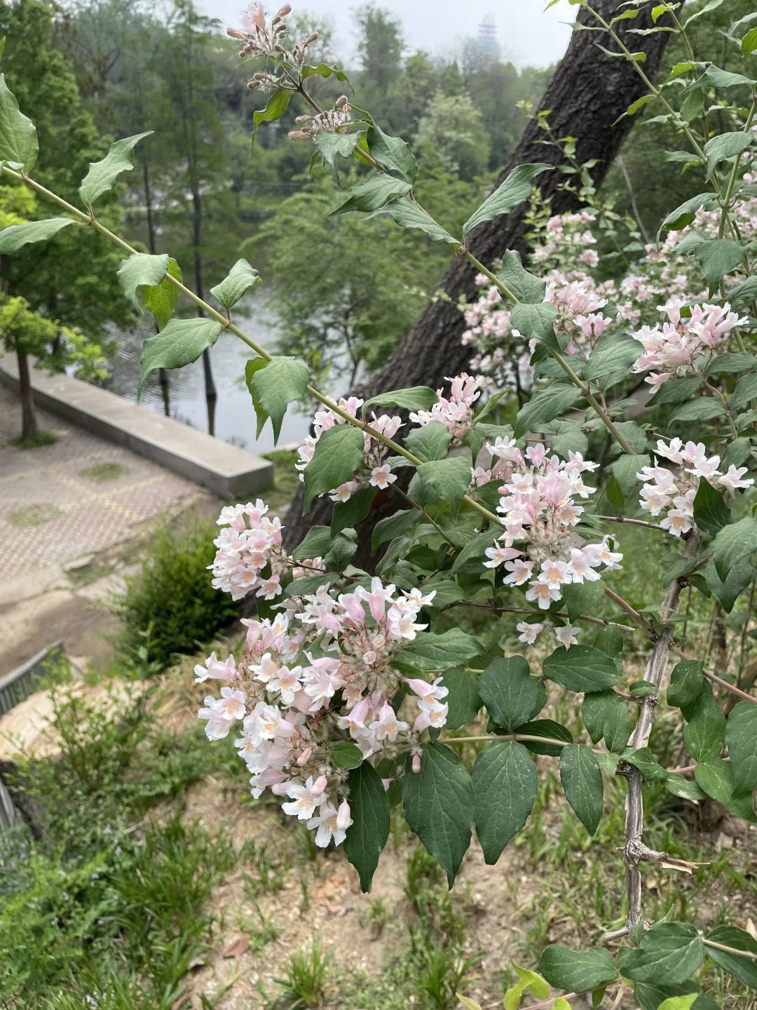 正点到站，安阳站🚉