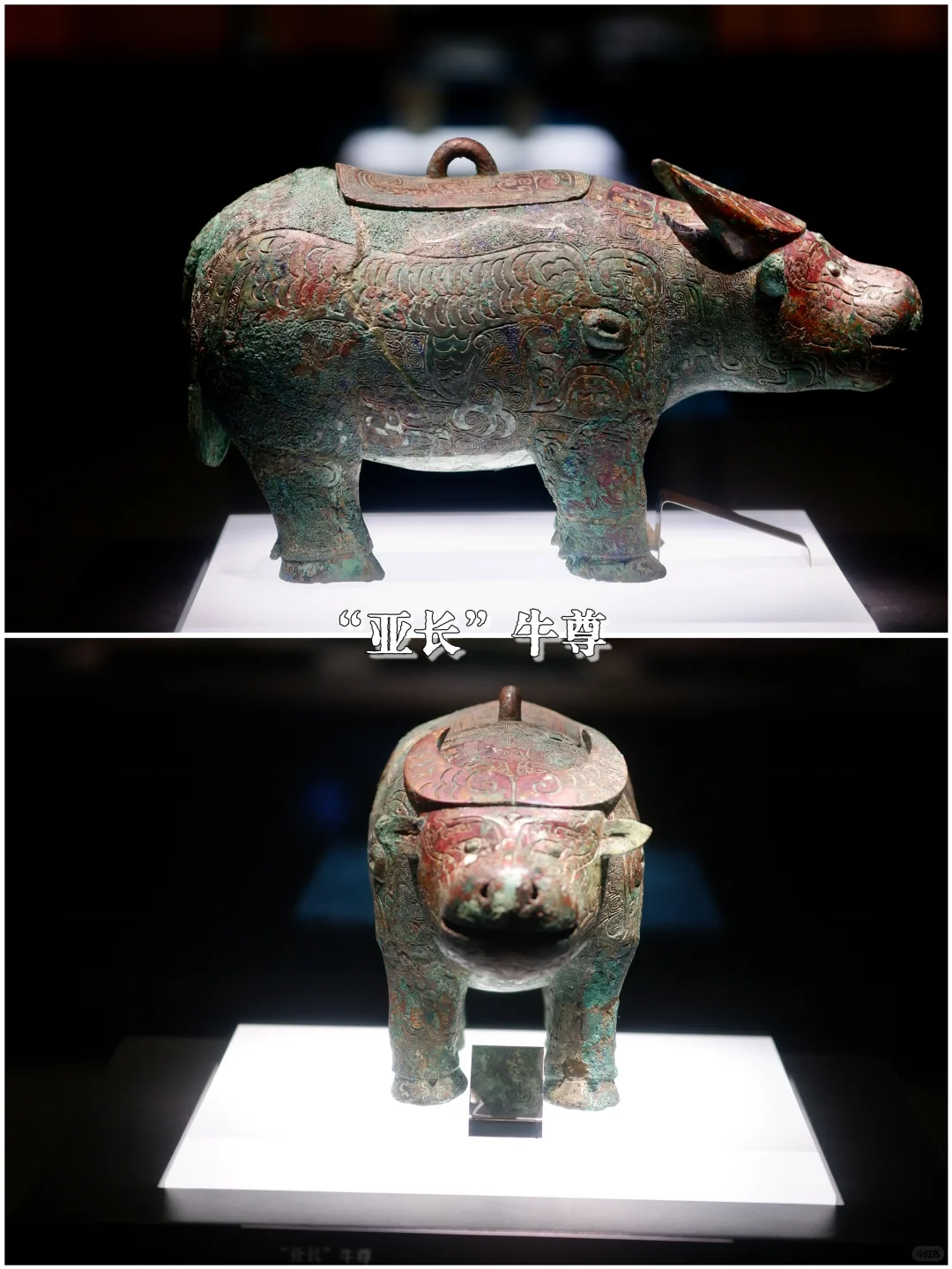 📚安阳殷墟博物馆丨穿越3000年的商朝之旅