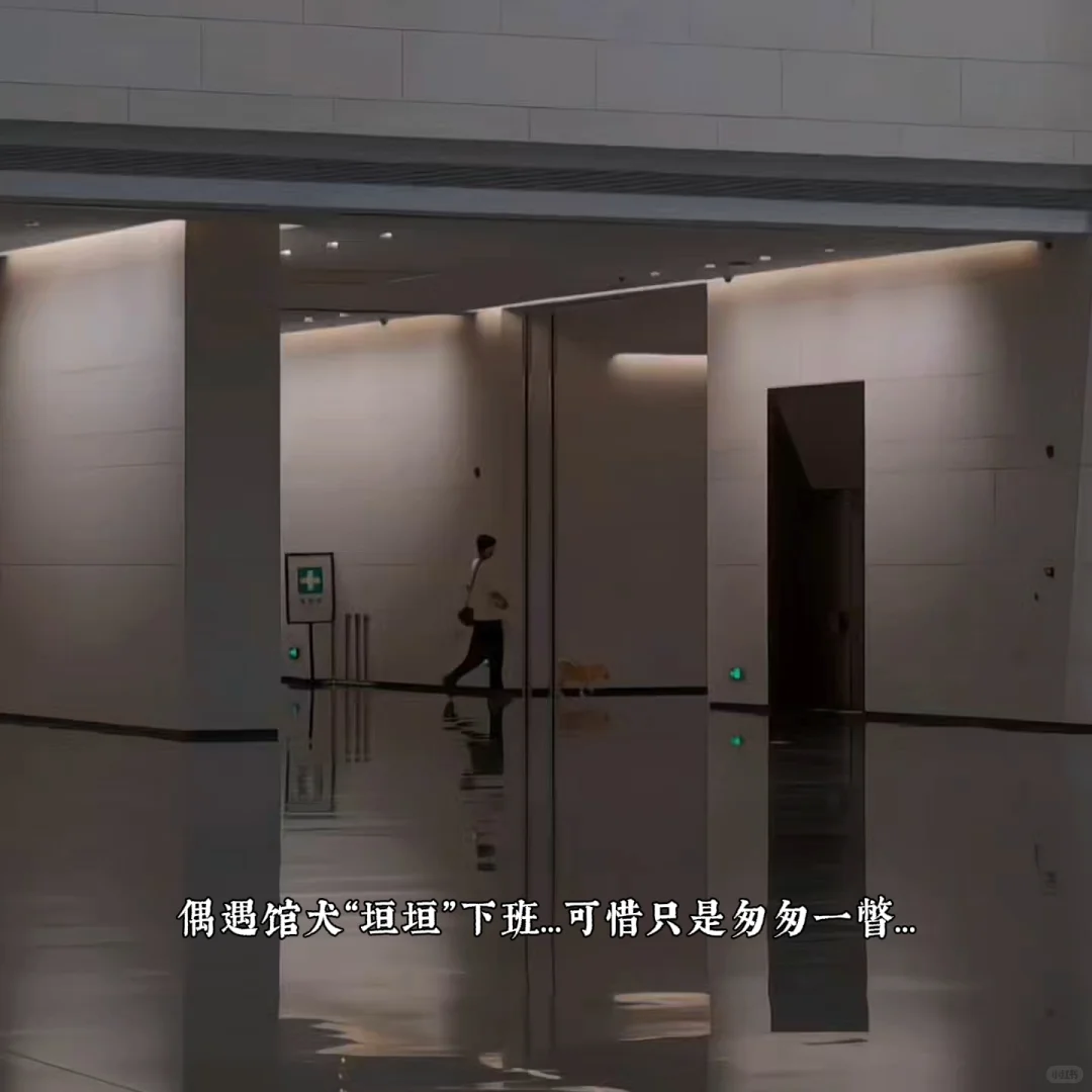 📚安阳殷墟博物馆丨穿越3000年的商朝之旅