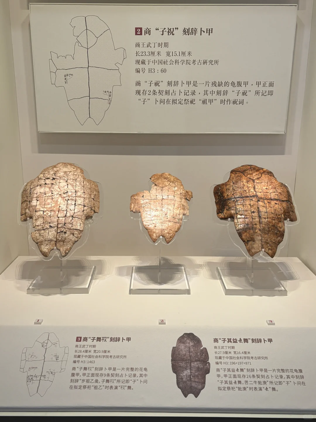 来到安阳🐾一座被低估了的宝藏小城