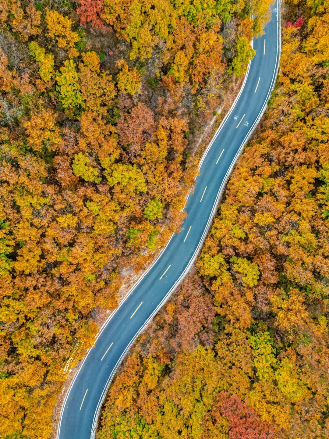 北京出发3h🚄河南被严重低估的山水秘境！