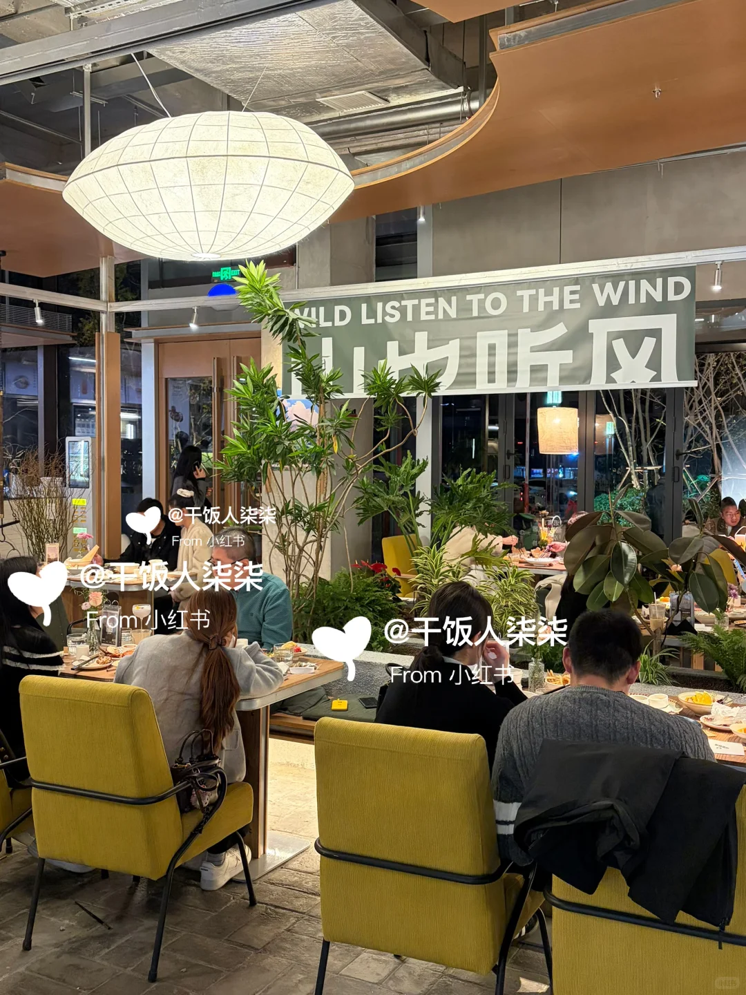 不是上海！在安阳！安阳！超有氛围感的餐厅🍴