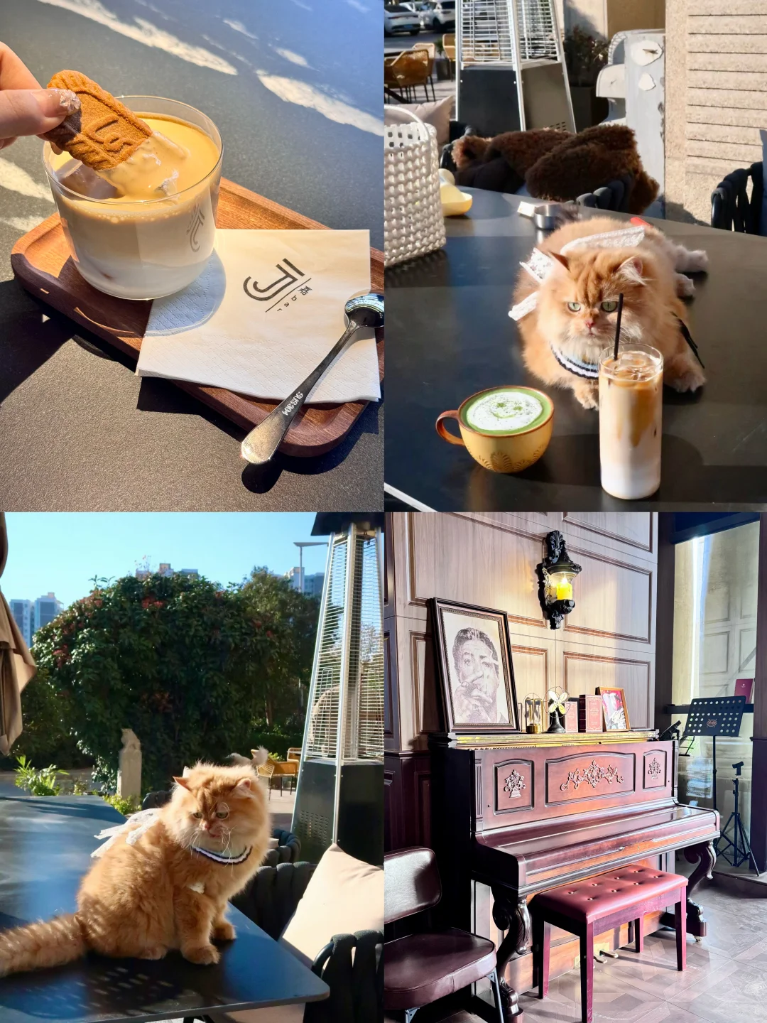 迄今为止安阳最喜欢的咖啡馆出现了！