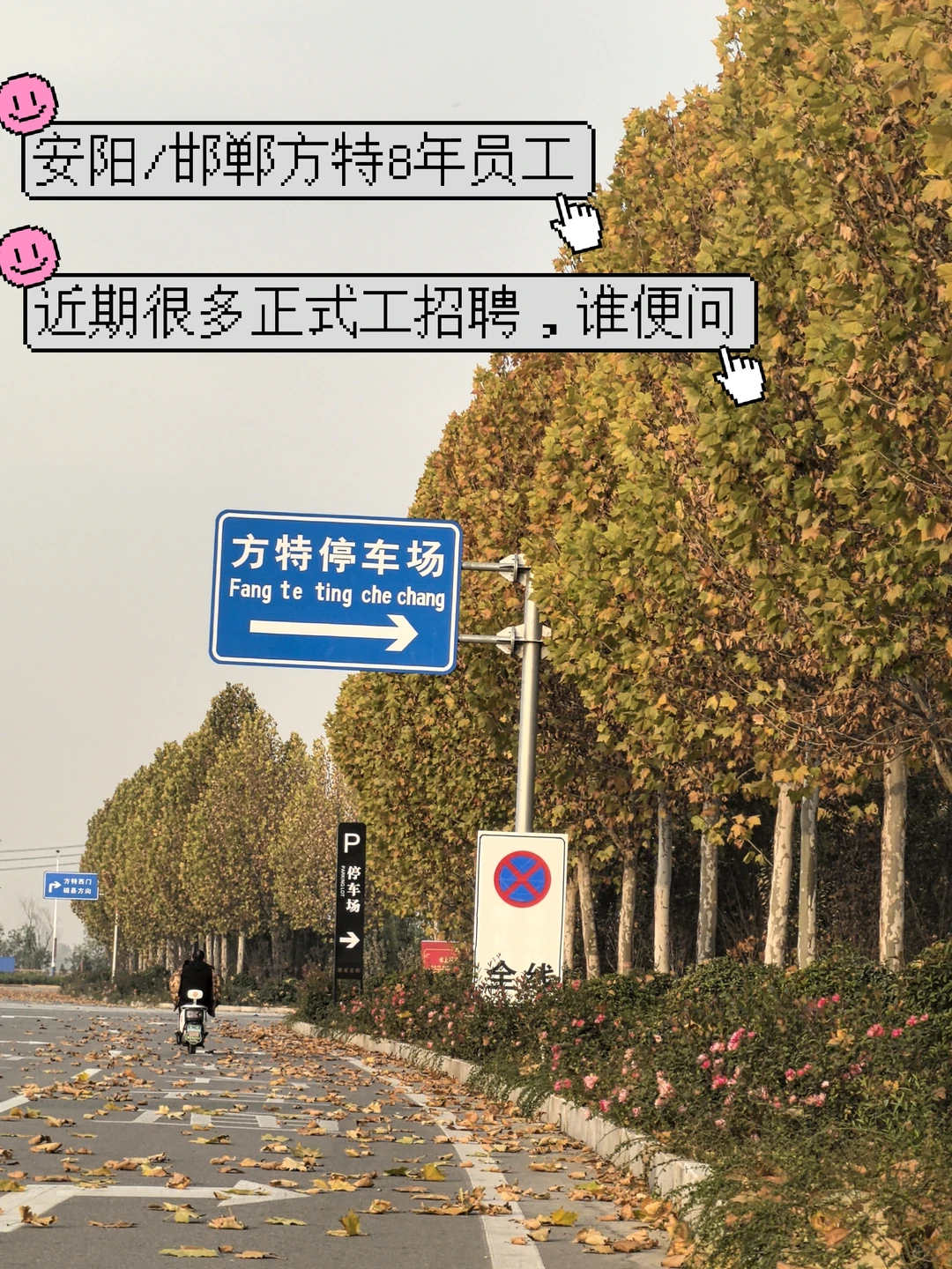 急❗️安阳需要工作看过来，方特绝对靠谱