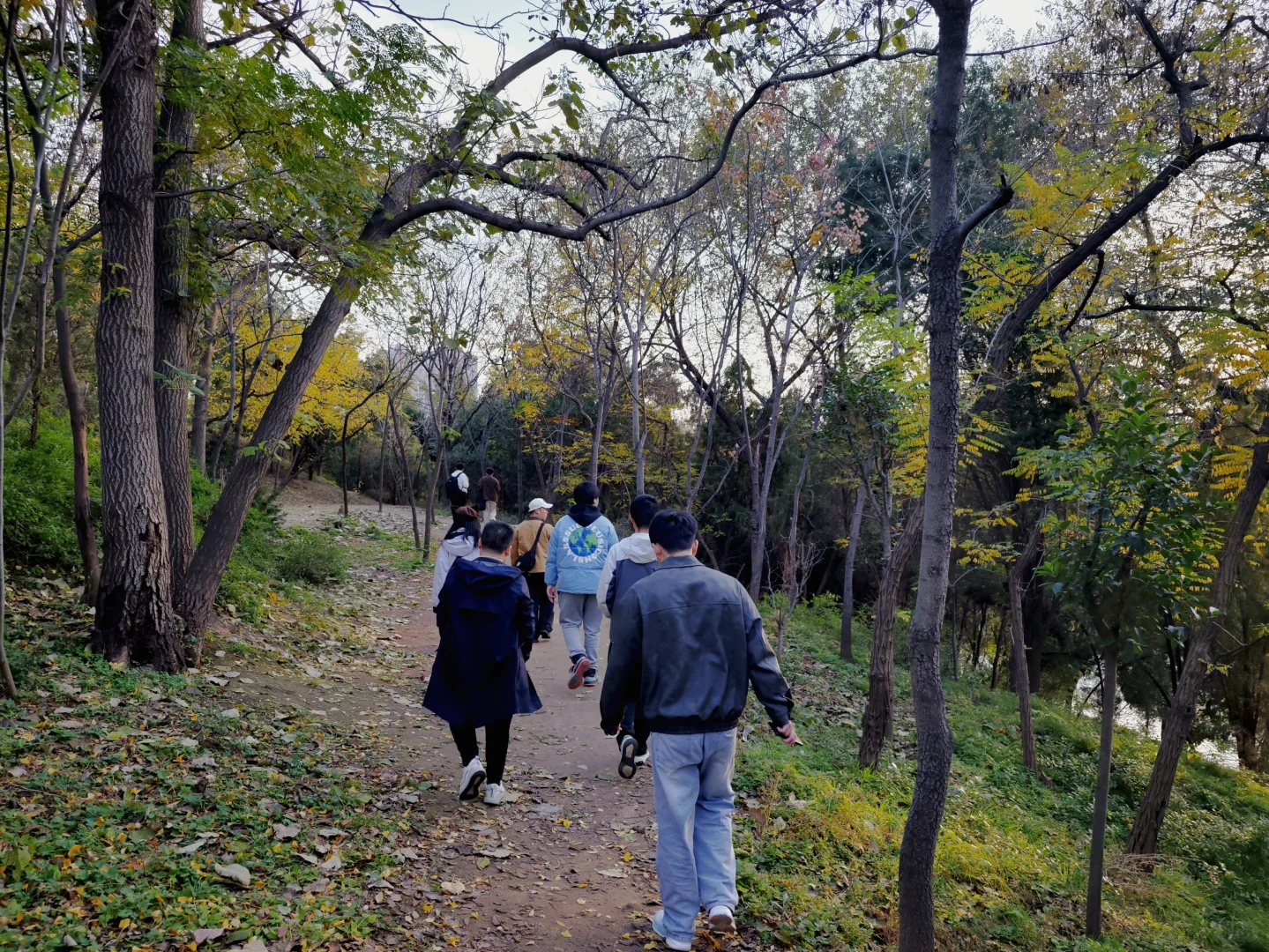 安阳洹园丨周末搭子