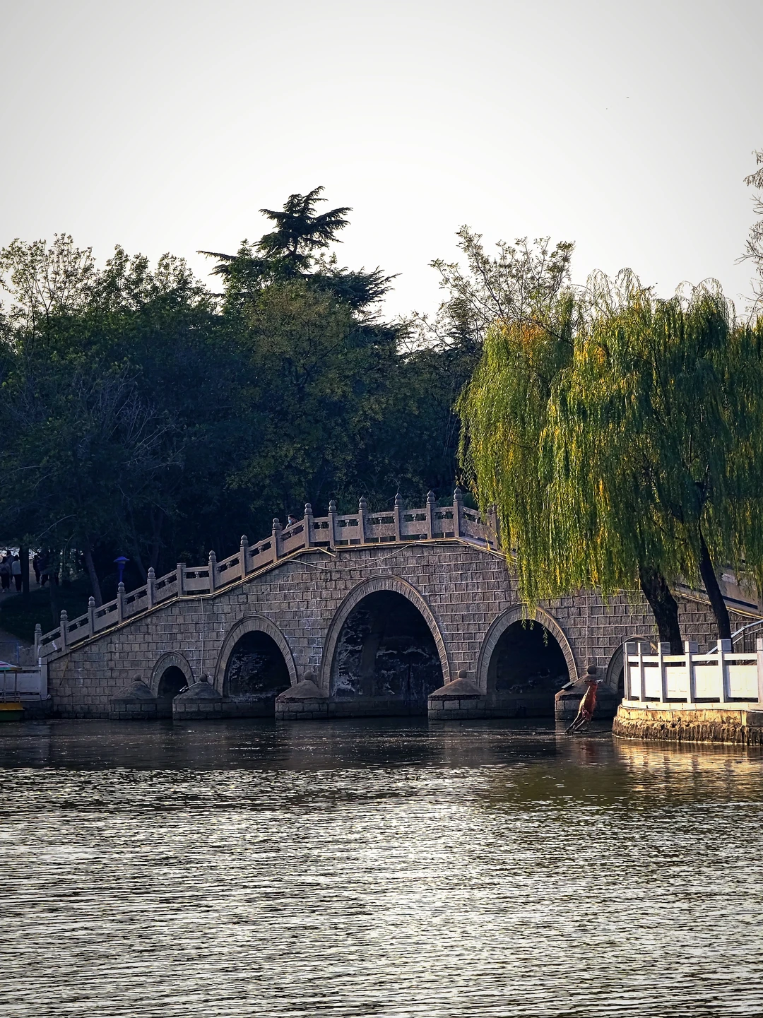 安阳洹园丨周末搭子