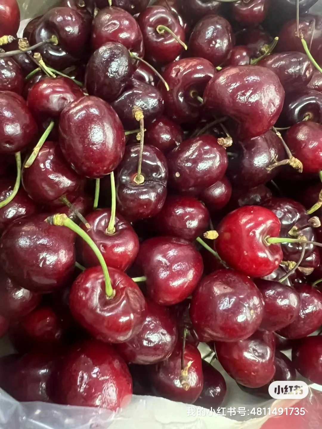 卖掉房车，励志做郑州东区水果大王