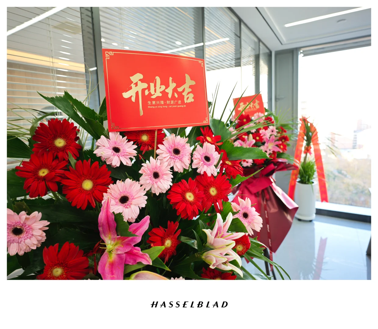 我们郑州分公司开业啦！澳美加真实雇主工签