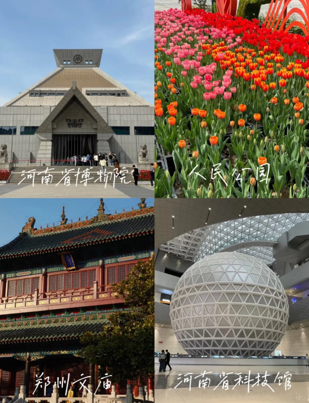 郑州地陪！！需要dd