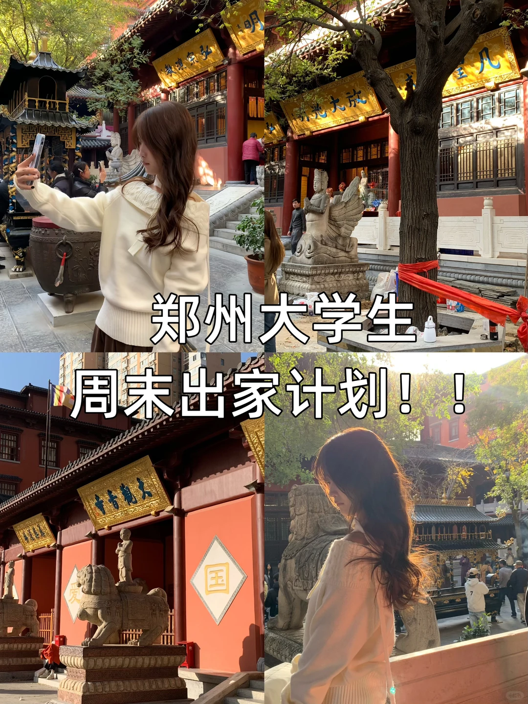 免门票！！郑州的大观音寺太好拍啦