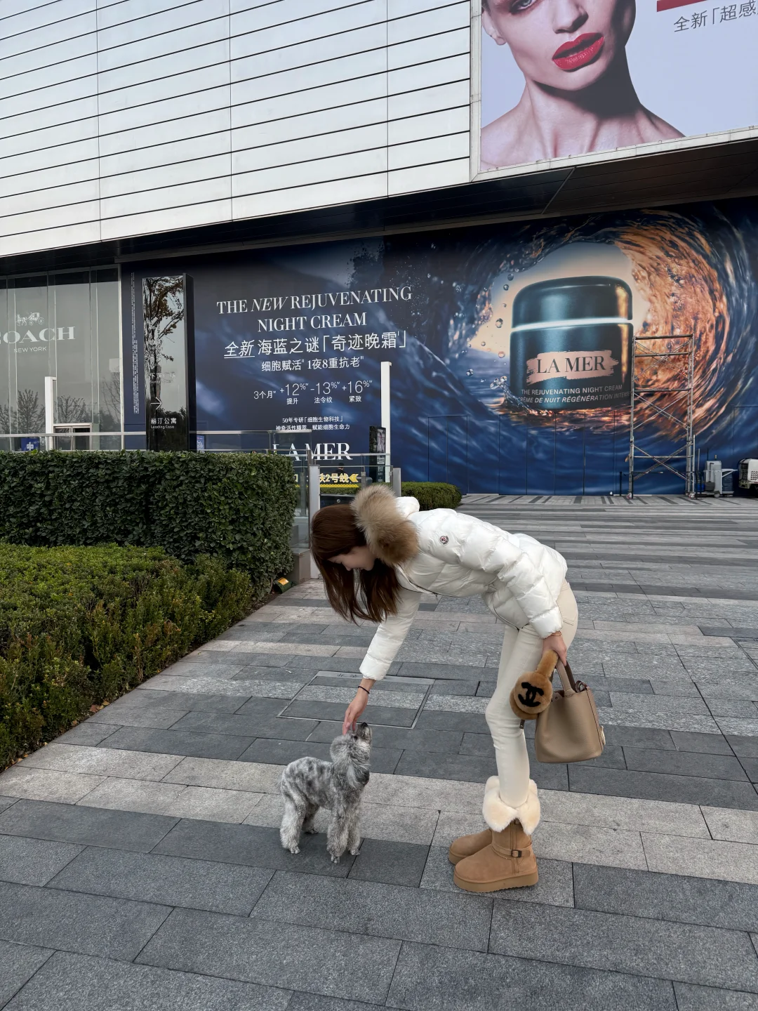 郑州的天已经冷到不想出门了