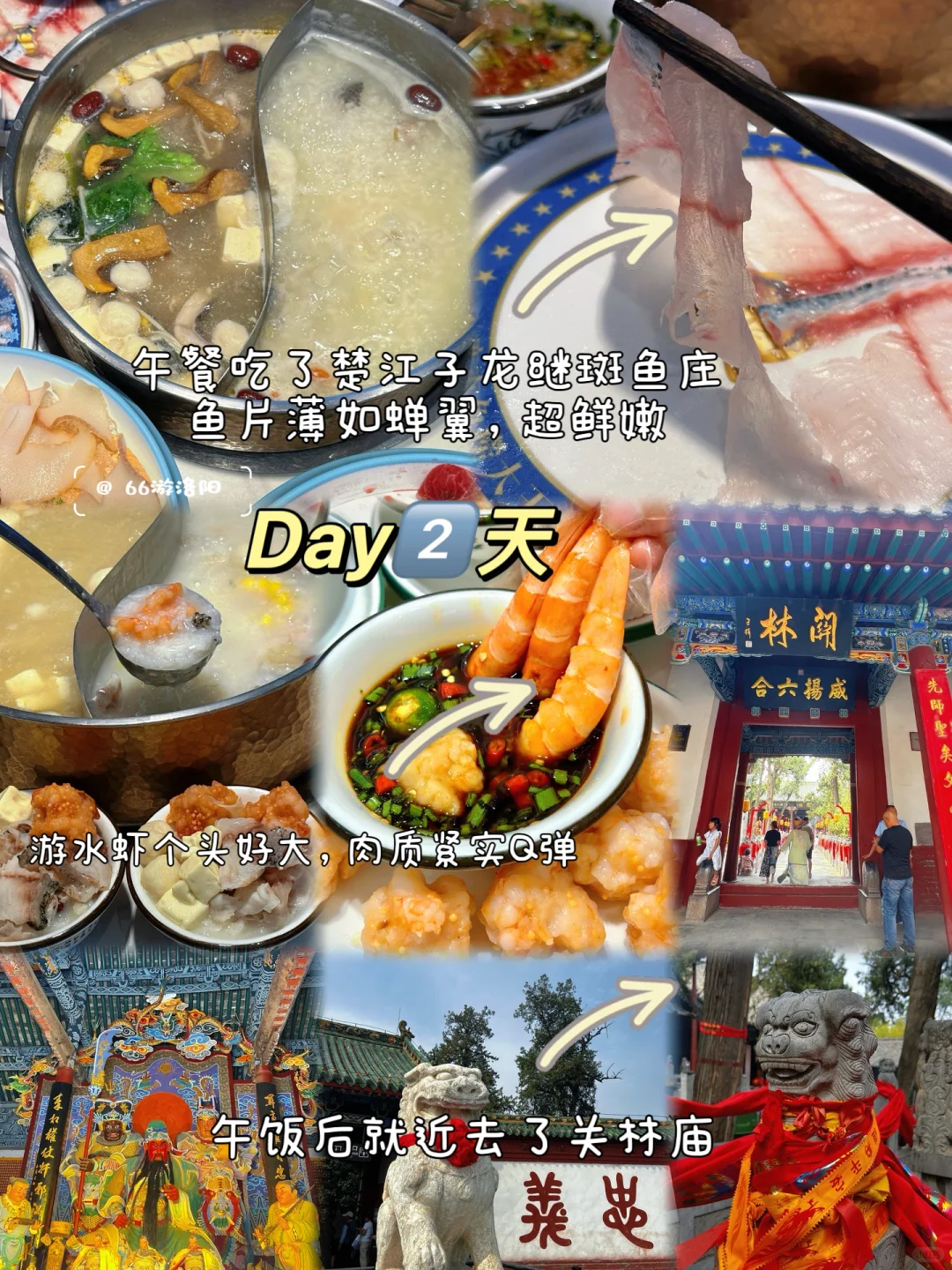 一家三口在洛阳逛吃的两天一晚……不踩雷版