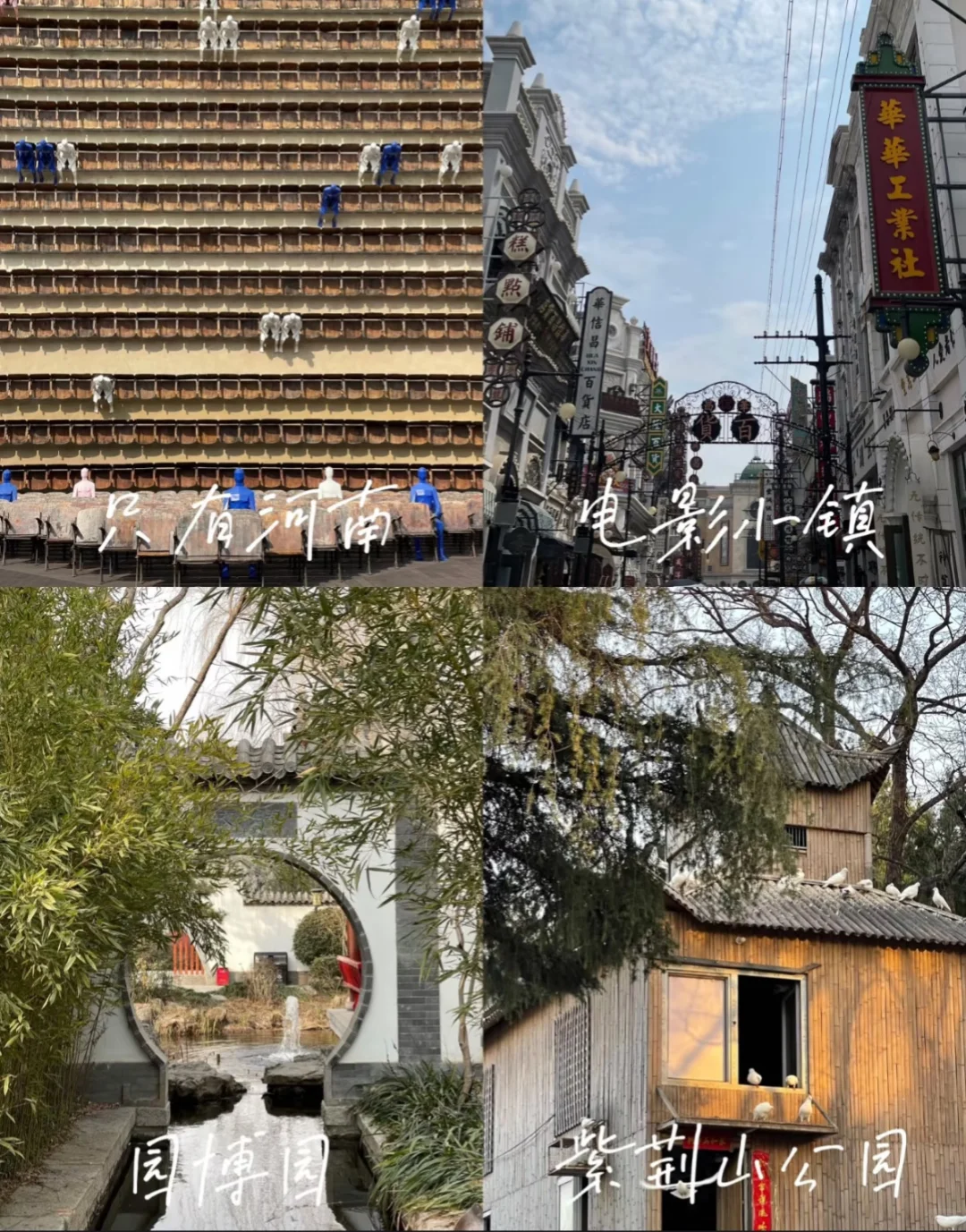 郑州地陪！！需要dd