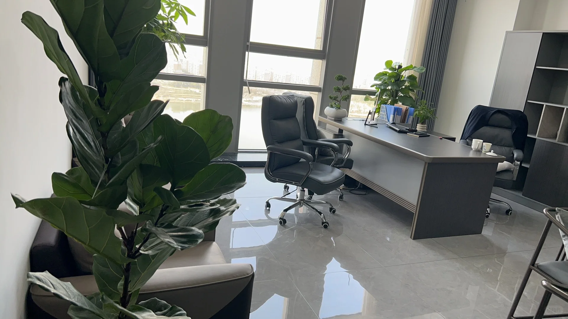 郑州办公室绿植租赁