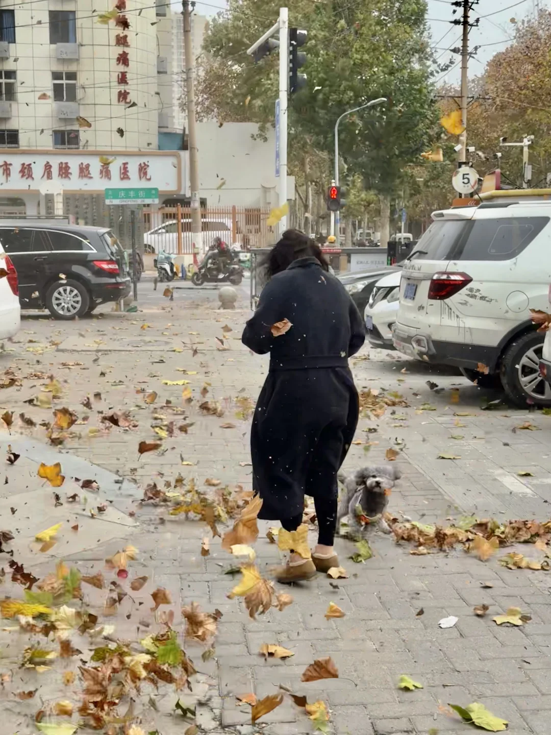郑州这风太大了……没啥必要事儿别出门了……