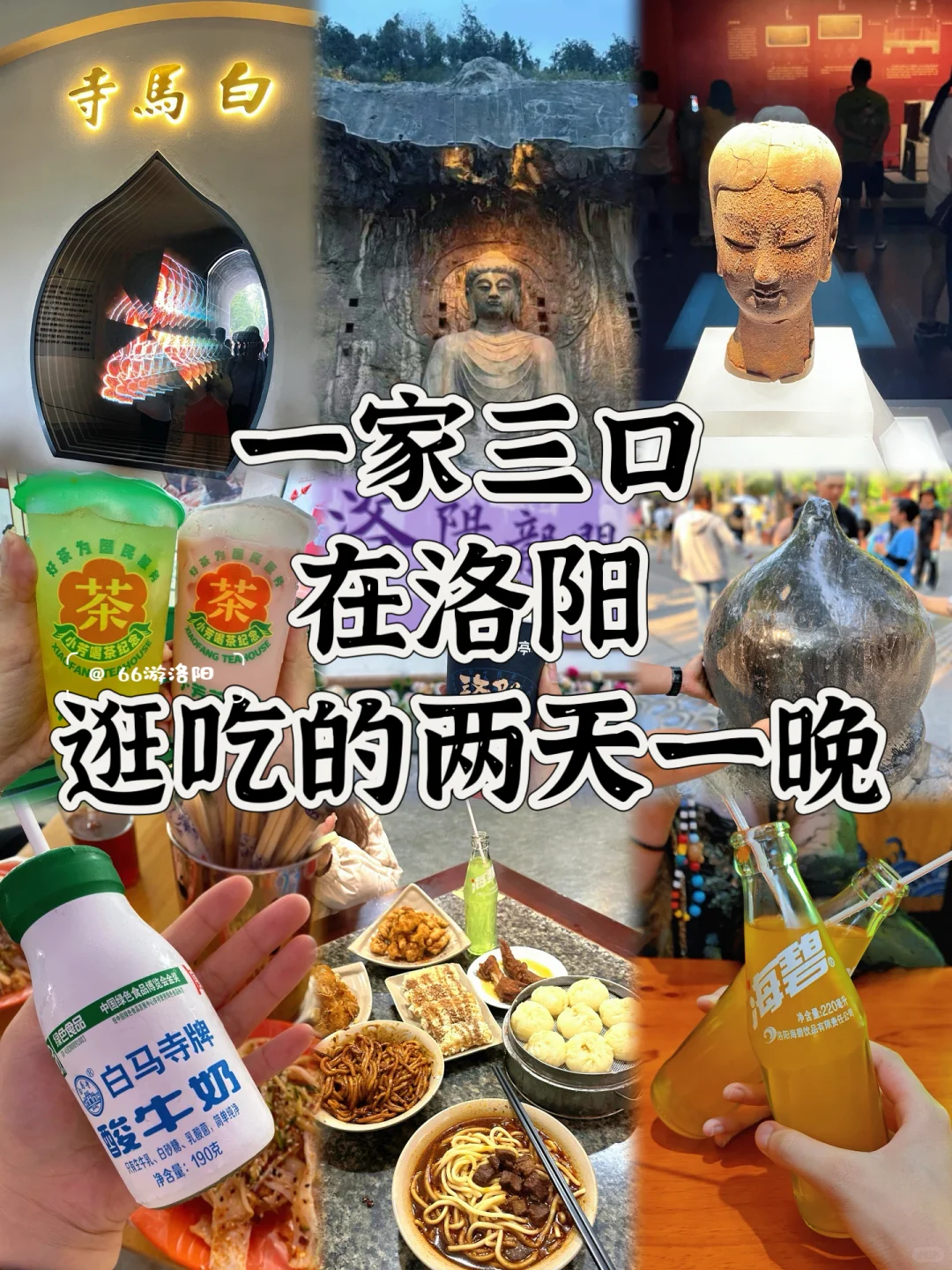 一家三口在洛阳逛吃的两天一晚……不踩雷版