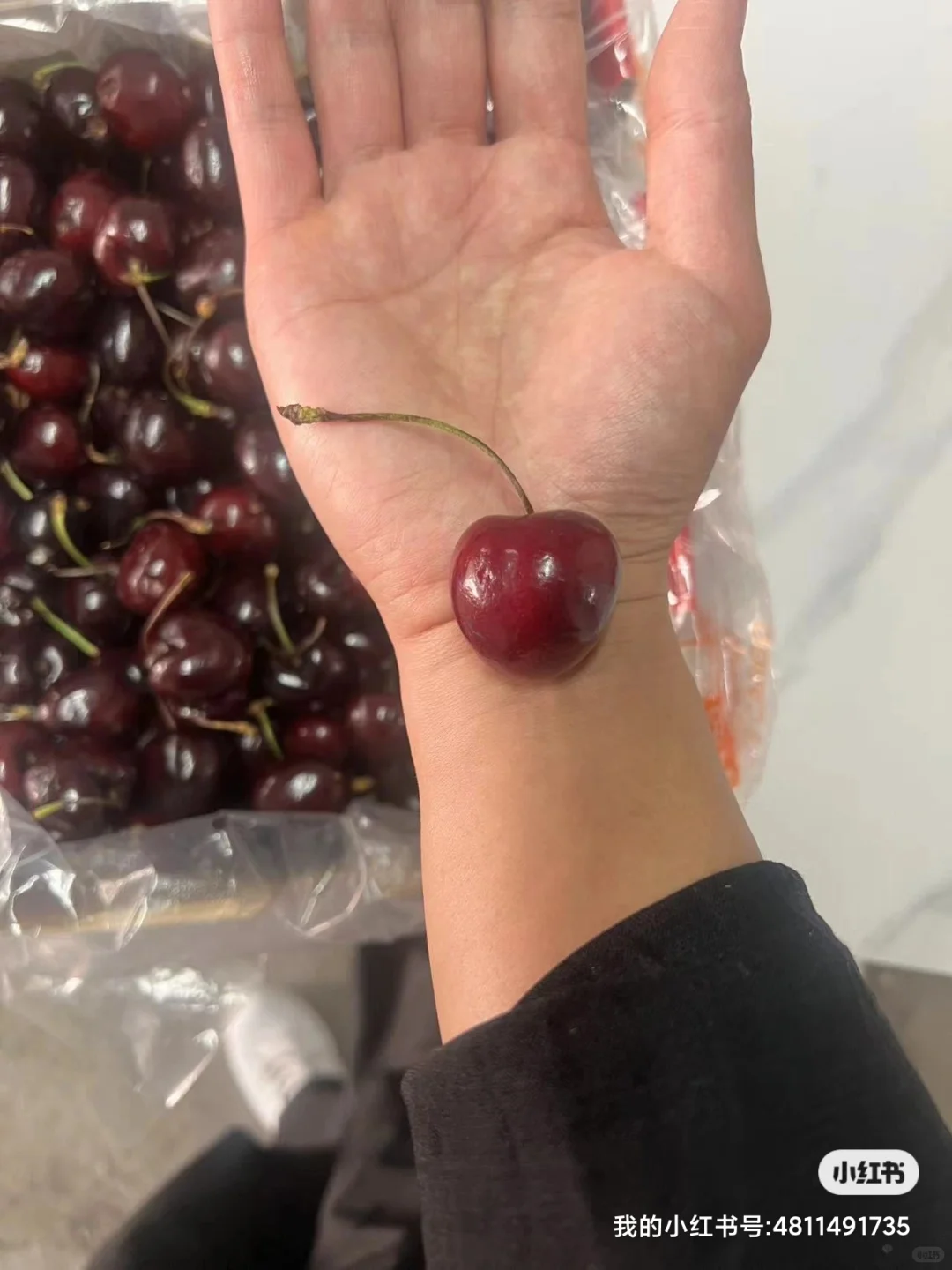 卖掉房车，励志做郑州东区水果大王