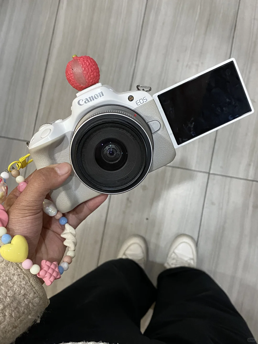 在郑州‼️7天190的佳能r50被我租到了