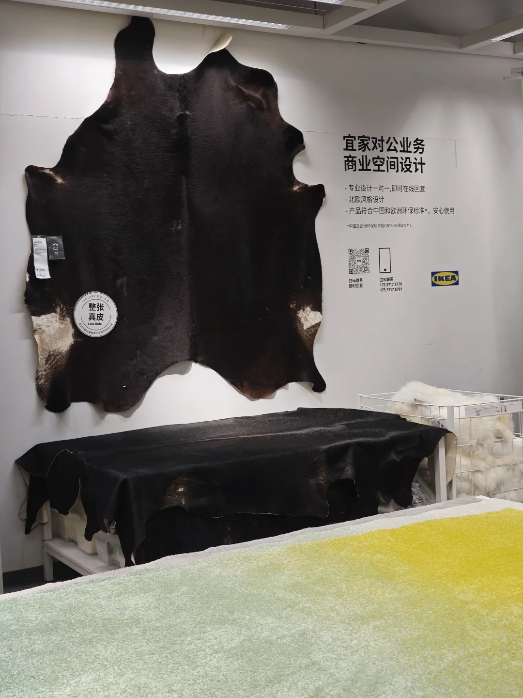 郑州地陪日记No.6｜逛宜家🚶🏻‍♀️