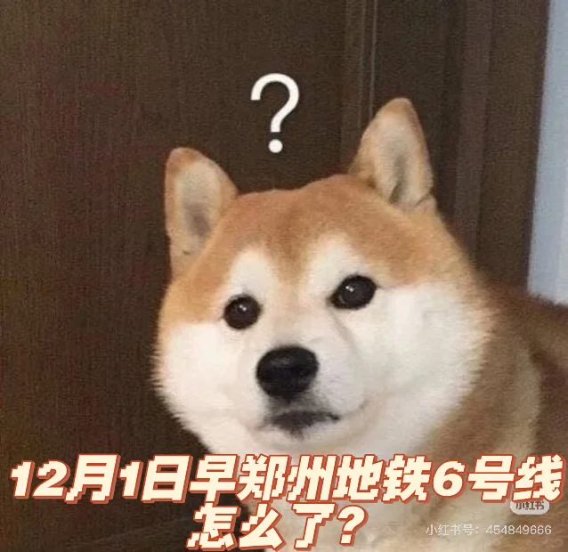 12月1日早8点郑州地铁6号线怎么了？？？