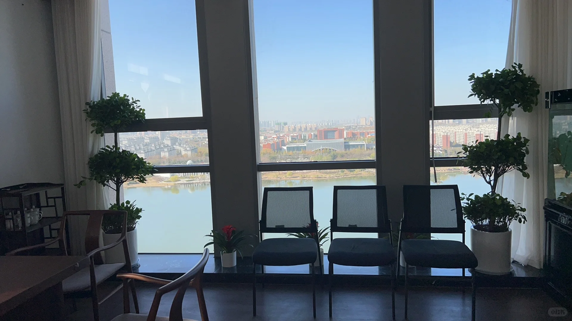 郑州办公室绿植租赁