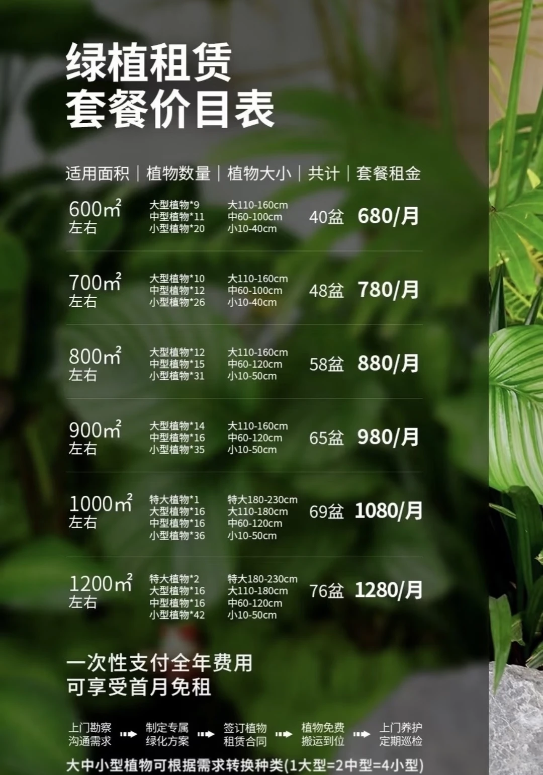 郑州办公室绿植租赁