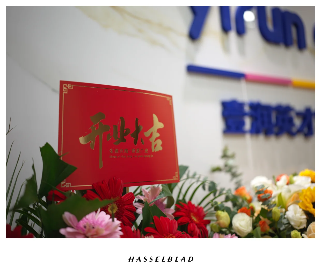 我们郑州分公司开业啦！澳美加真实雇主工签