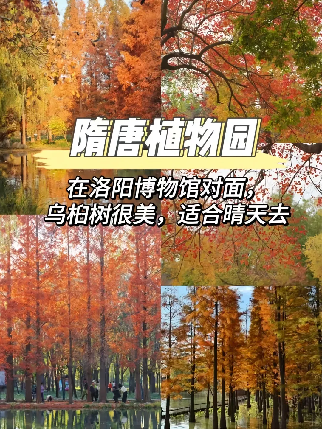 洛阳不花钱的必去8个免费打卡圣地!