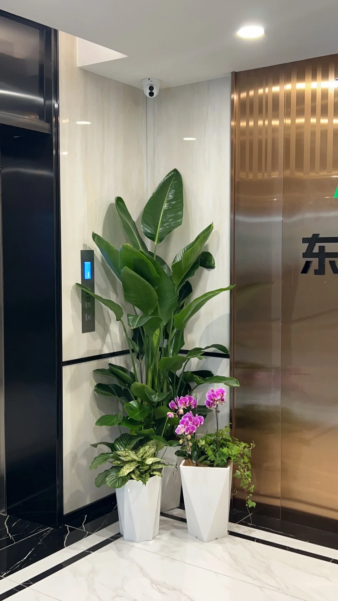 郑州办公室绿植租赁