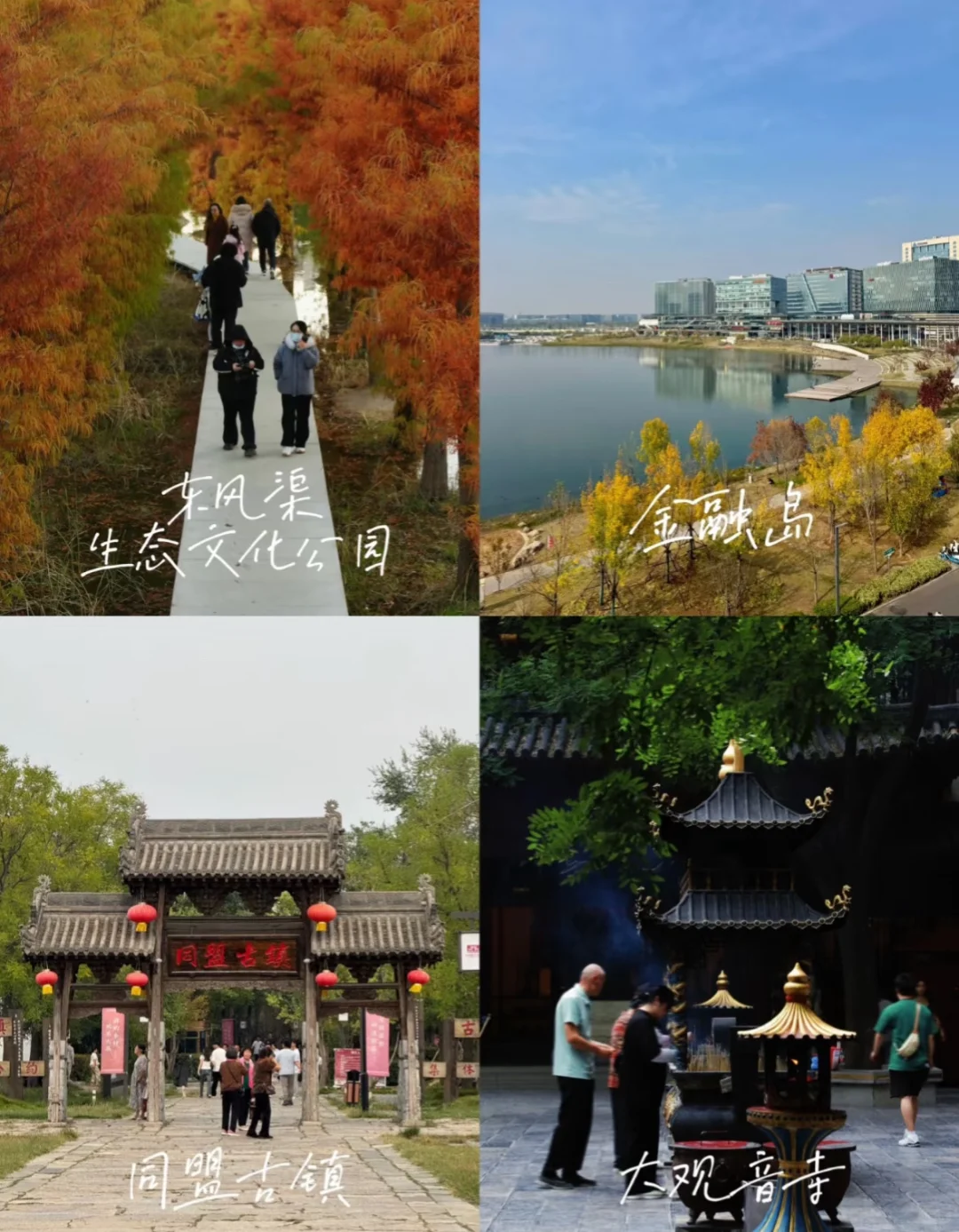 郑州地陪！！需要dd