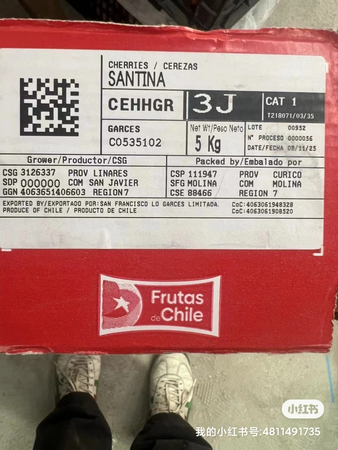 卖掉房车，励志做郑州东区水果大王