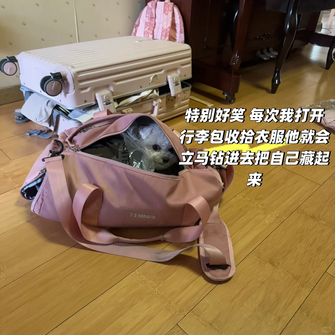 郑大研一plog｜放假小记