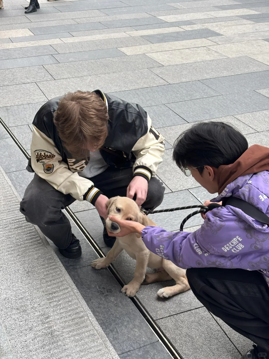 外国人第一次看郑州大玉米楼