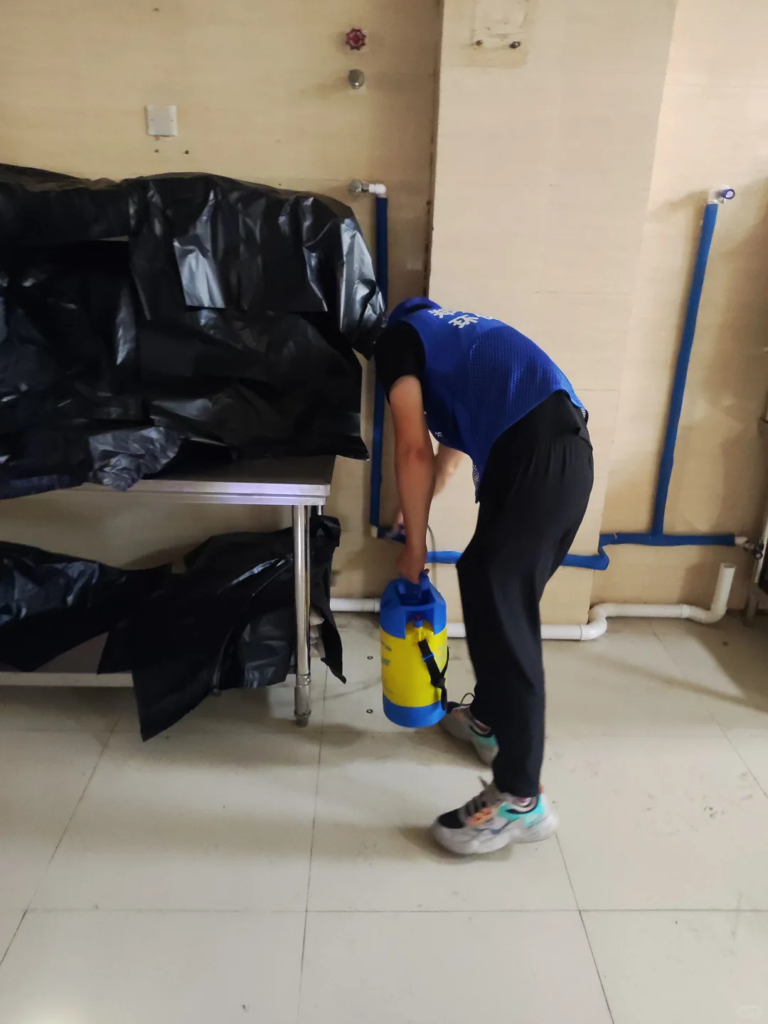 郑州全市上门灭蟑螂，灭老鼠公司