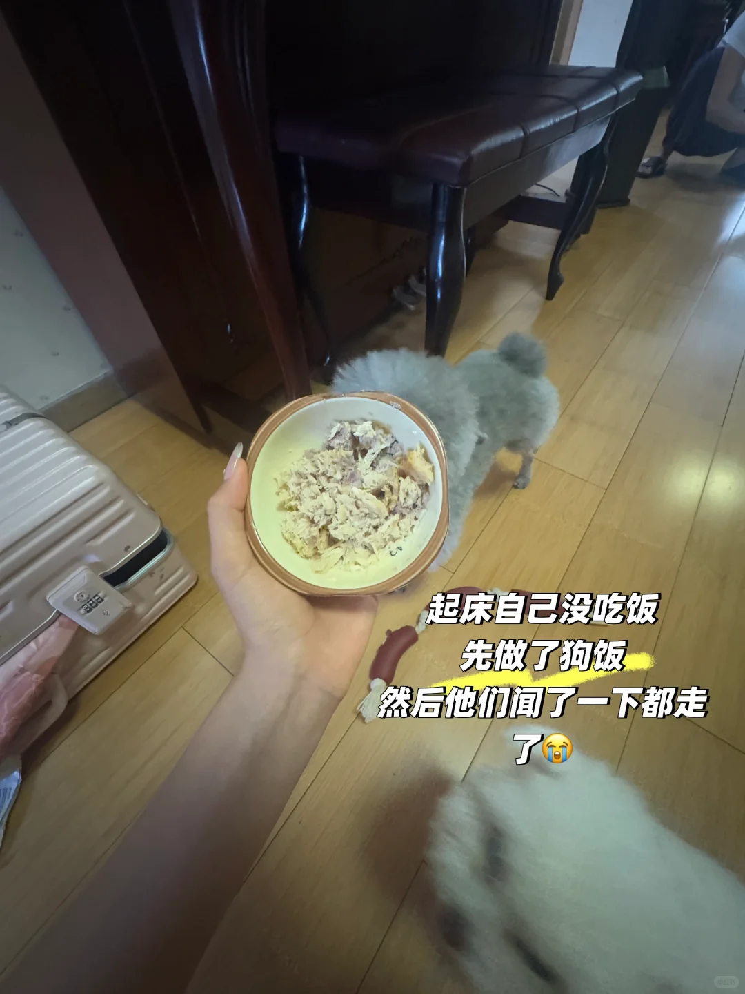 郑大研一plog｜放假小记