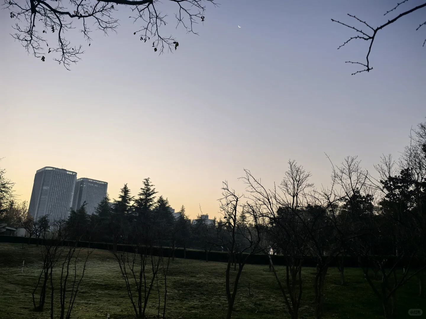 2025年11月16日早晨的郑州