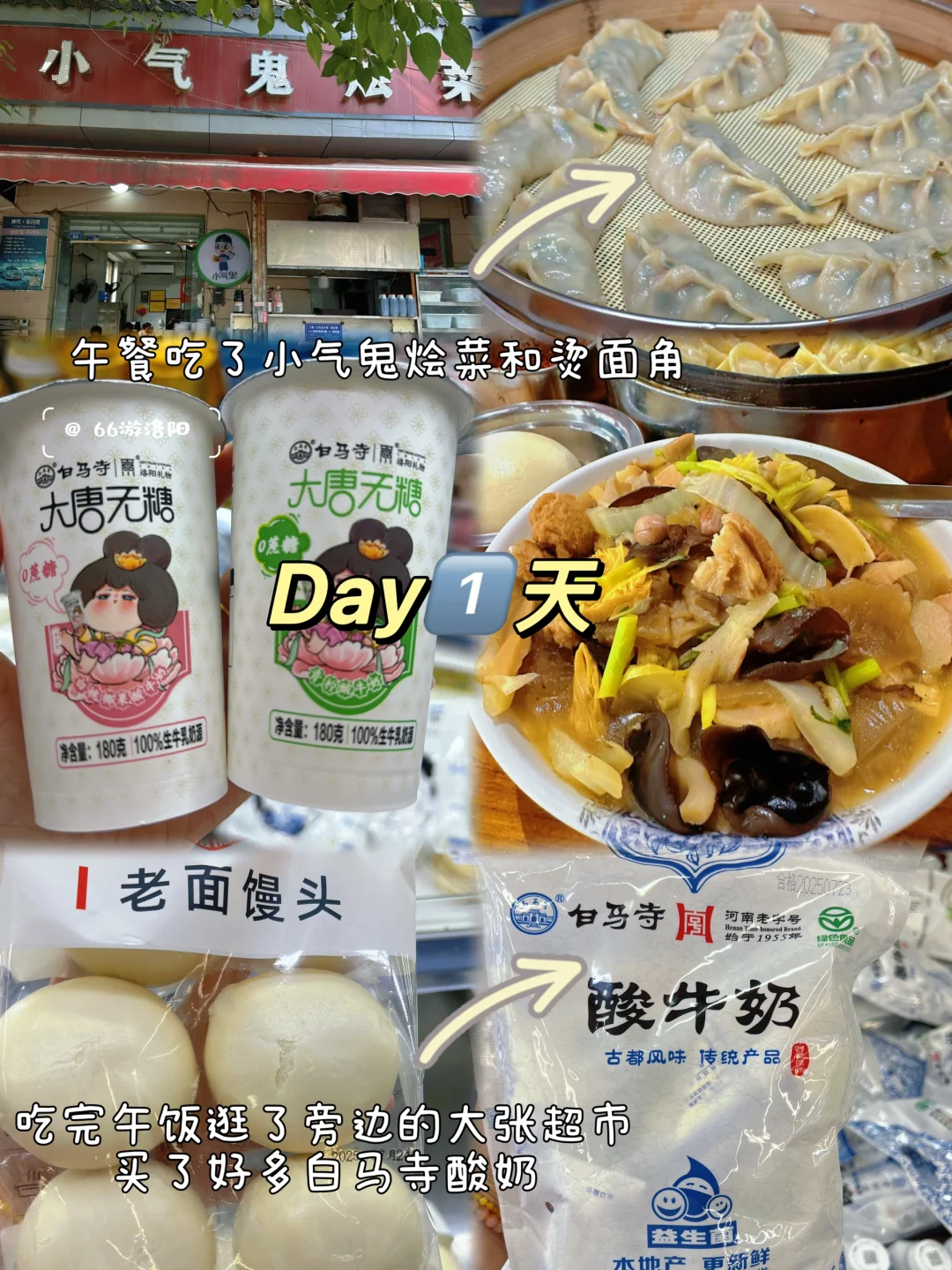 一家三口在洛阳逛吃的两天一晚……不踩雷版