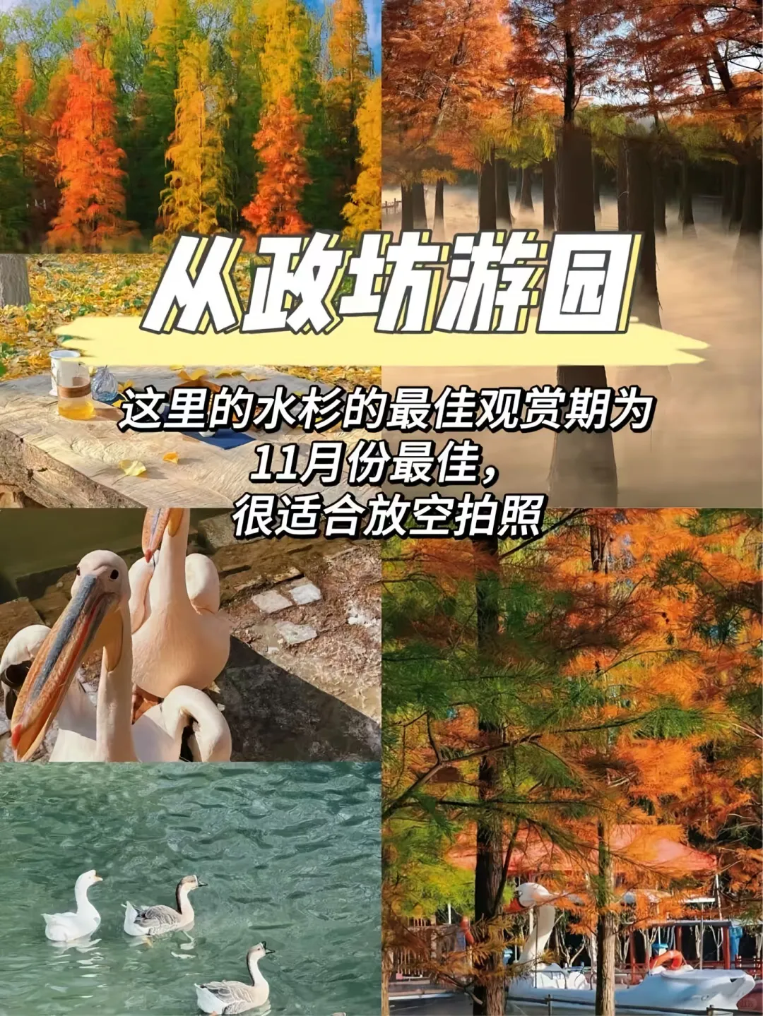 洛阳不花钱的必去8个免费打卡圣地!