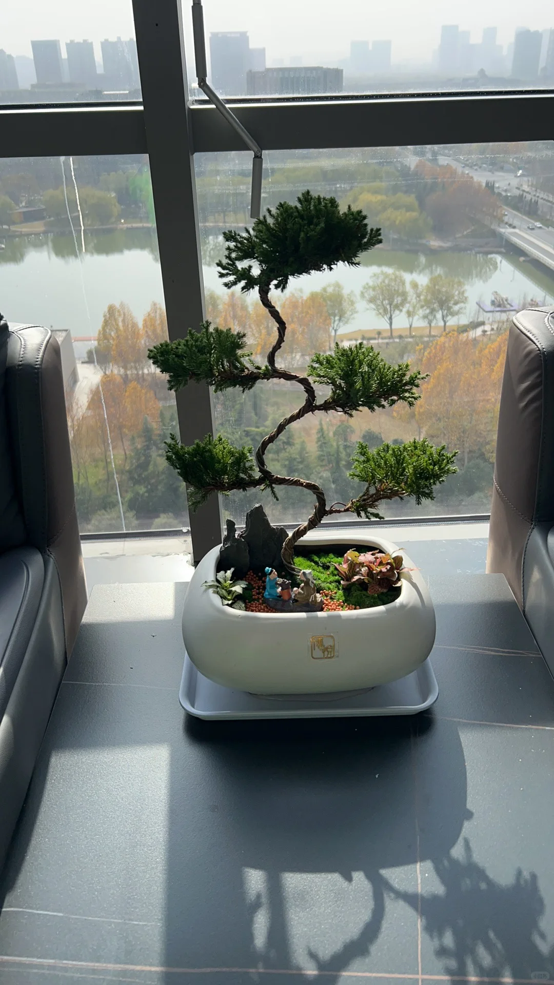 郑州办公室绿植租赁