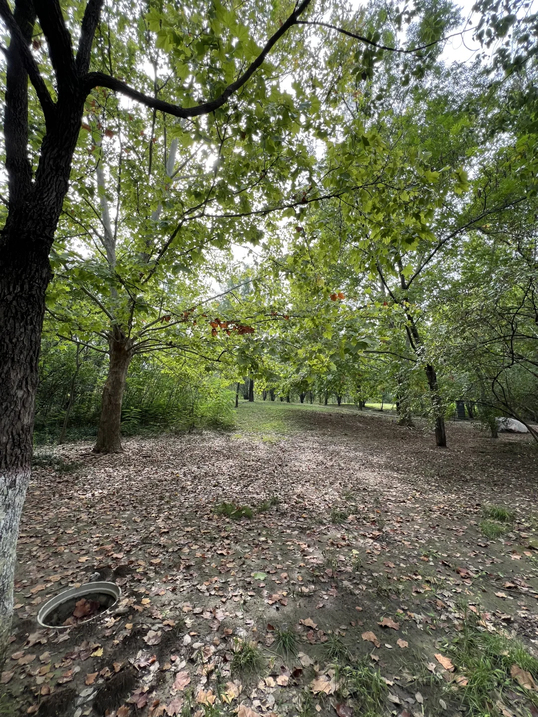 郑州大学在读女大学生的日常生活