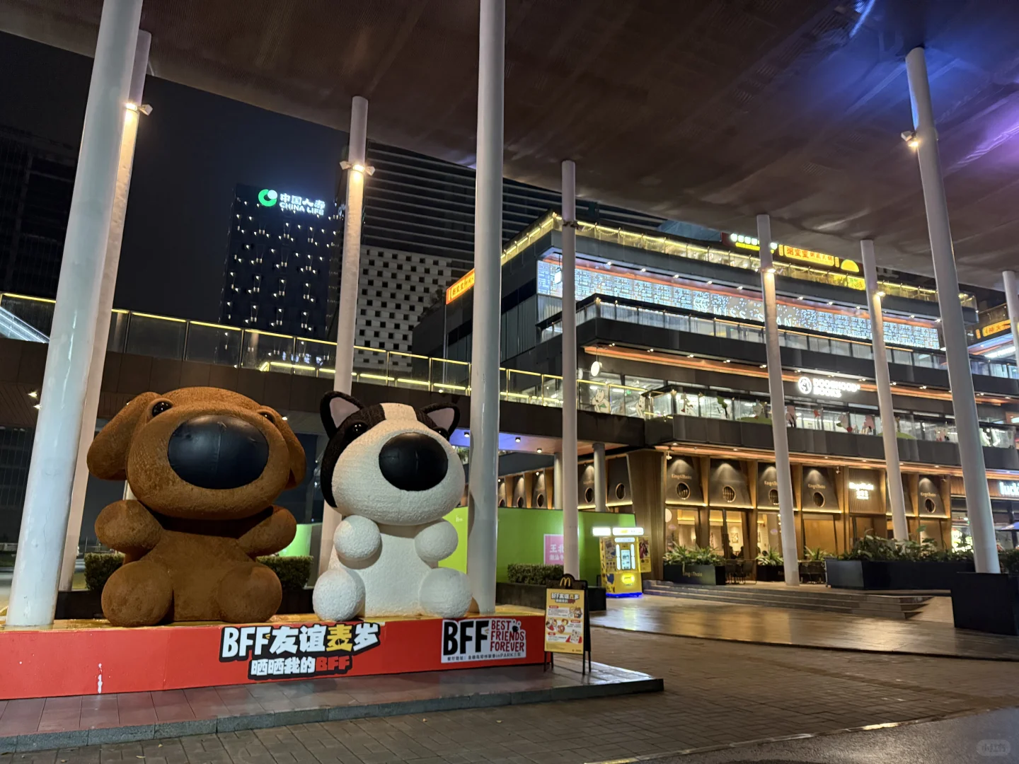 哈喽，郑州 😜