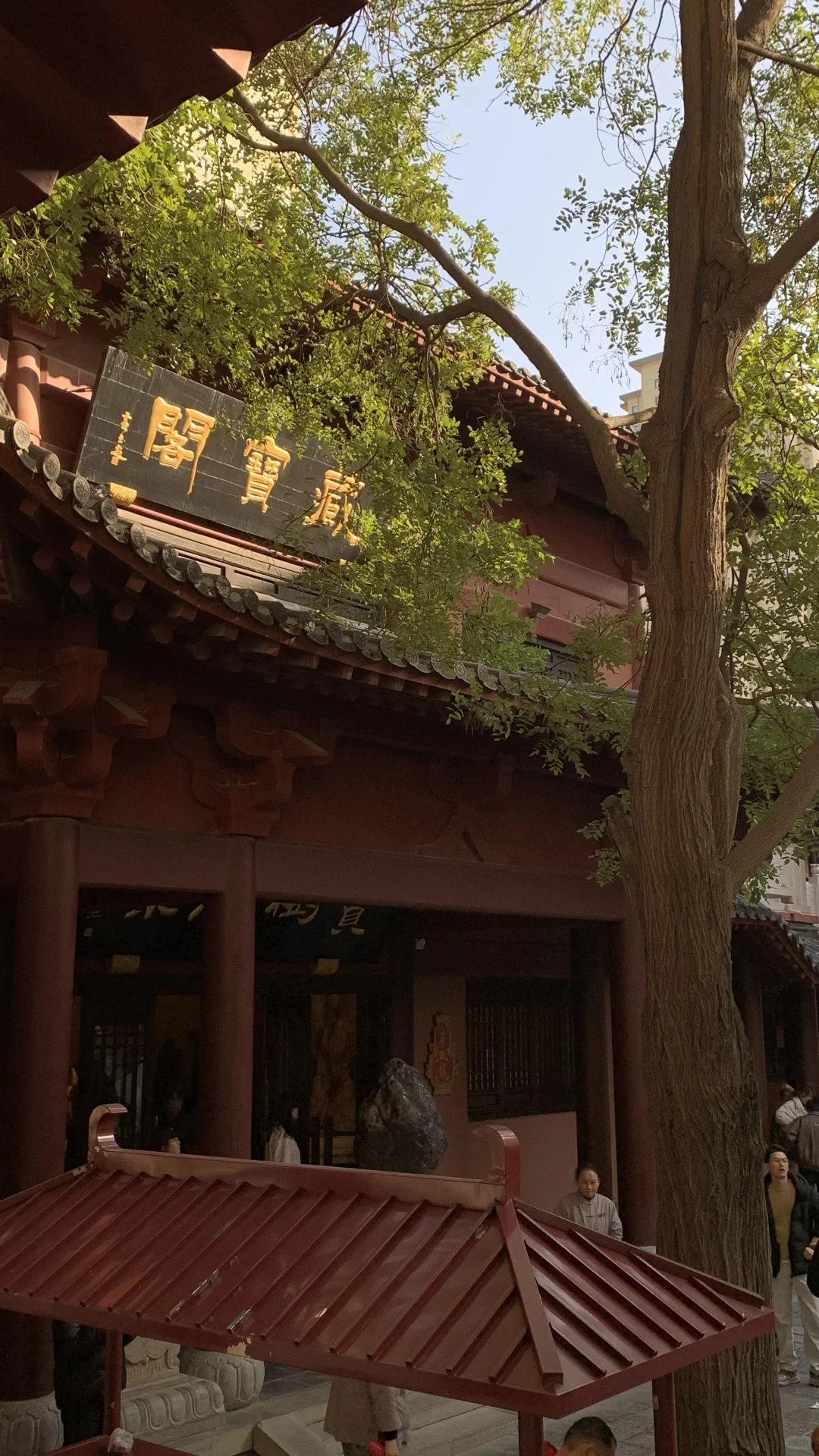 免门票！！郑州的大观音寺太好拍啦