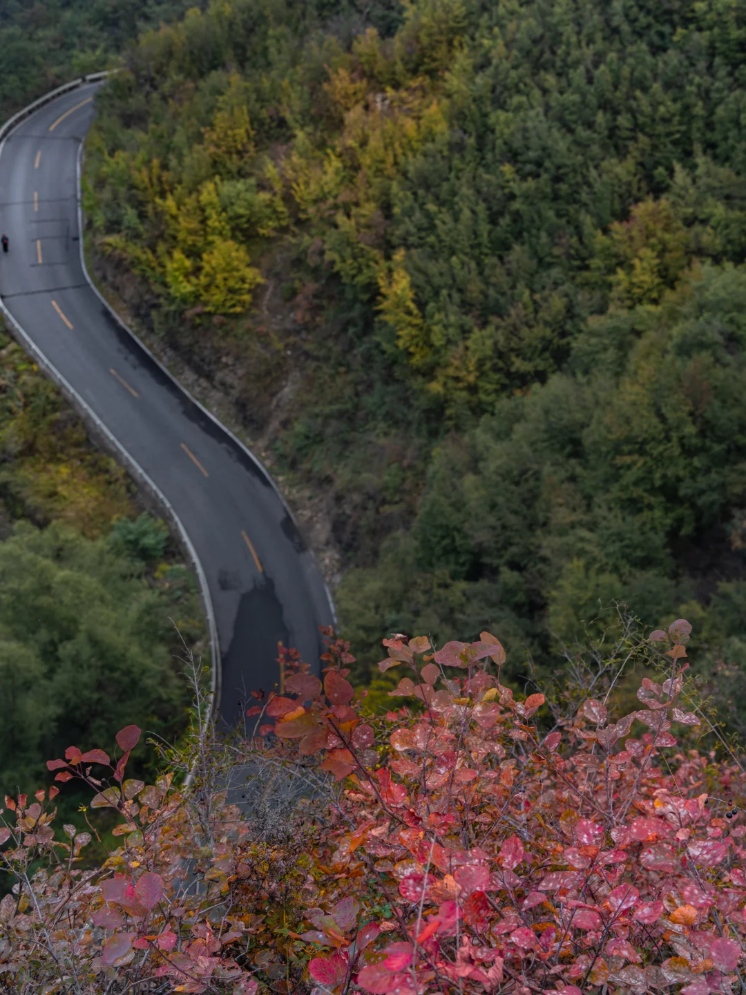 河南究竟还有多少被严重低估的绝美山水啊‼️