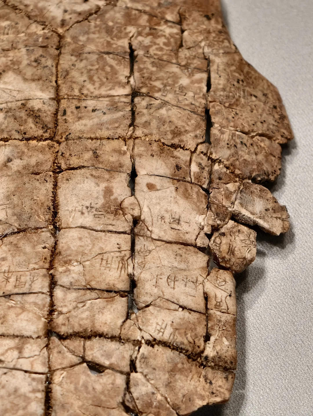 安阳花园庄东地出土刻辞卜(bǔ)甲