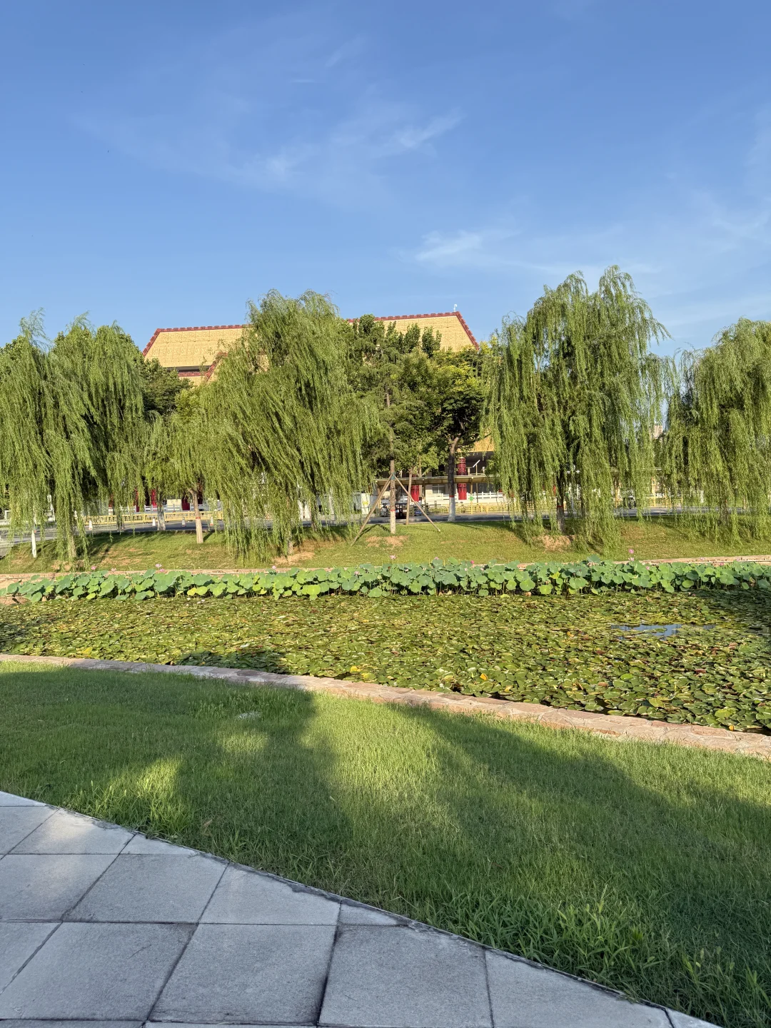 安阳最好逛的地方是免费的🆓